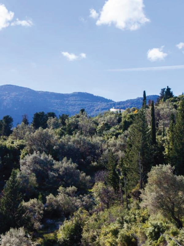 Panorama Ionian View